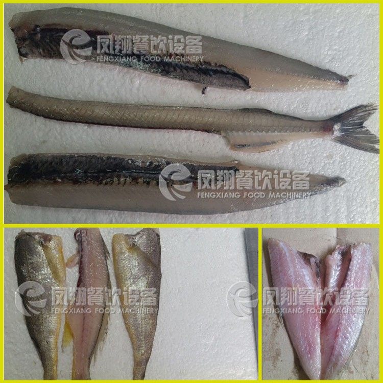 工厂直销 全自动杀鱼机 开鱼肚开背三枚鱼片机小型鱼类开片剖鱼机,淘宝优惠券,粉丝福利购,淘宝优惠卷