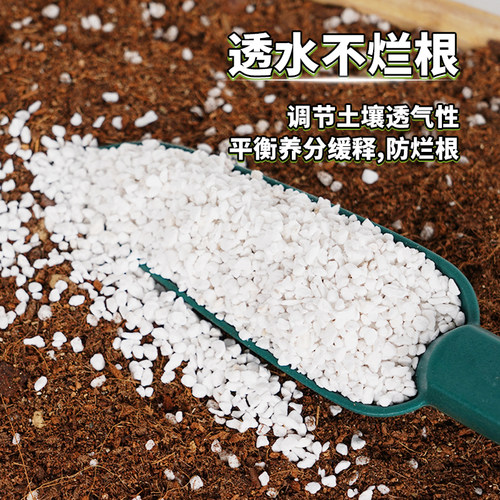 兰花植料珍珠岩除尘大颗粒养花通用营养土多肉兰种植育苗硬质植料 - 图0