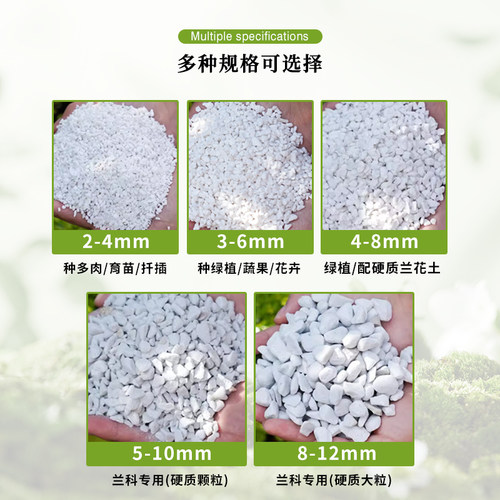 兰花植料珍珠岩除尘大颗粒养花通用营养土多肉兰种植育苗硬质植料 - 图3
