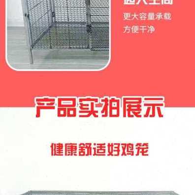 新新家用折叠式防鼠鸡笼子兔笼子鸟笼子鸽笼养殖鸡笼铁网组装鸭品-图1