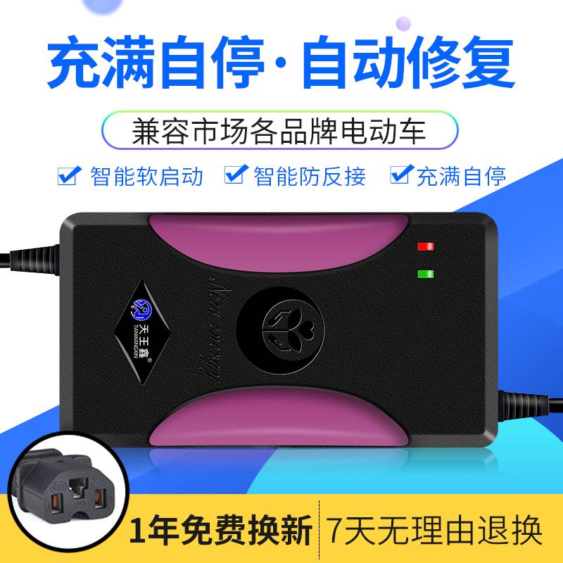 电动车充电器24V12AH 20AH48V36V12AH小海豚车航空头铅酸蓄电池 - 图3