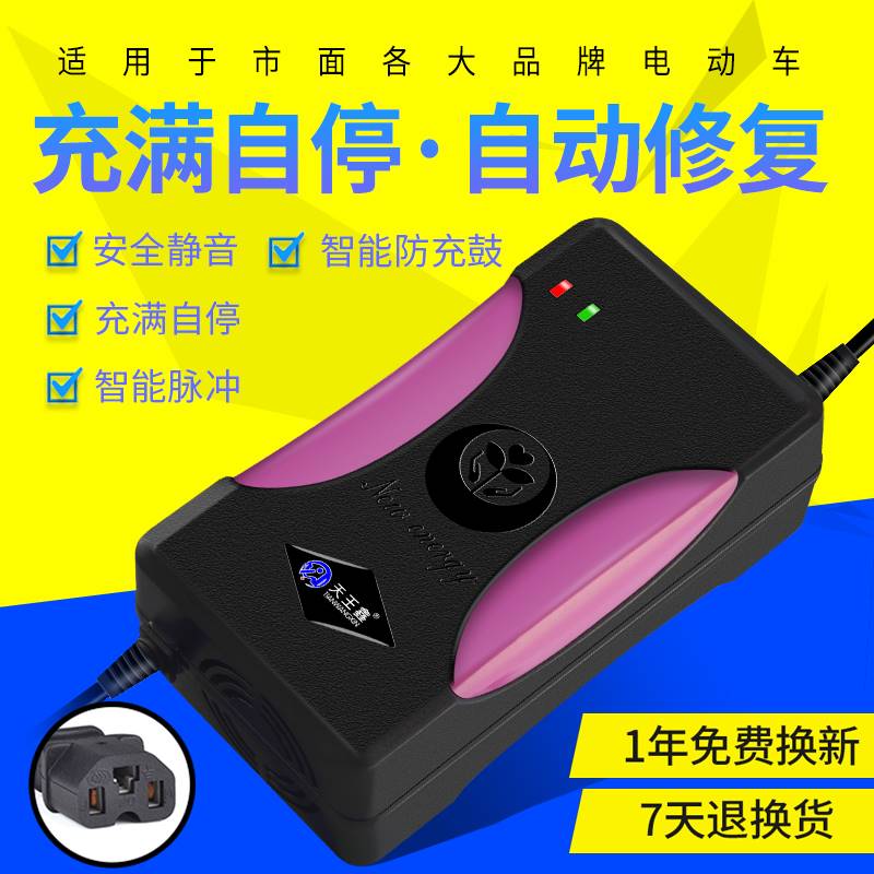 电动车充电器24V12AH 20AH48V36V12AH小海豚车航空头铅酸蓄电池 - 图2