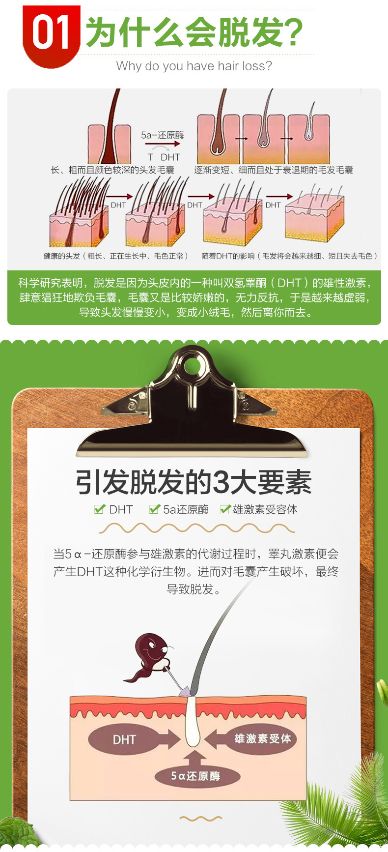 森艺棠海外专营店2瓶美国 普丽普莱锯棕榈提取物软胶囊90粒防脱发 改善前列腺0