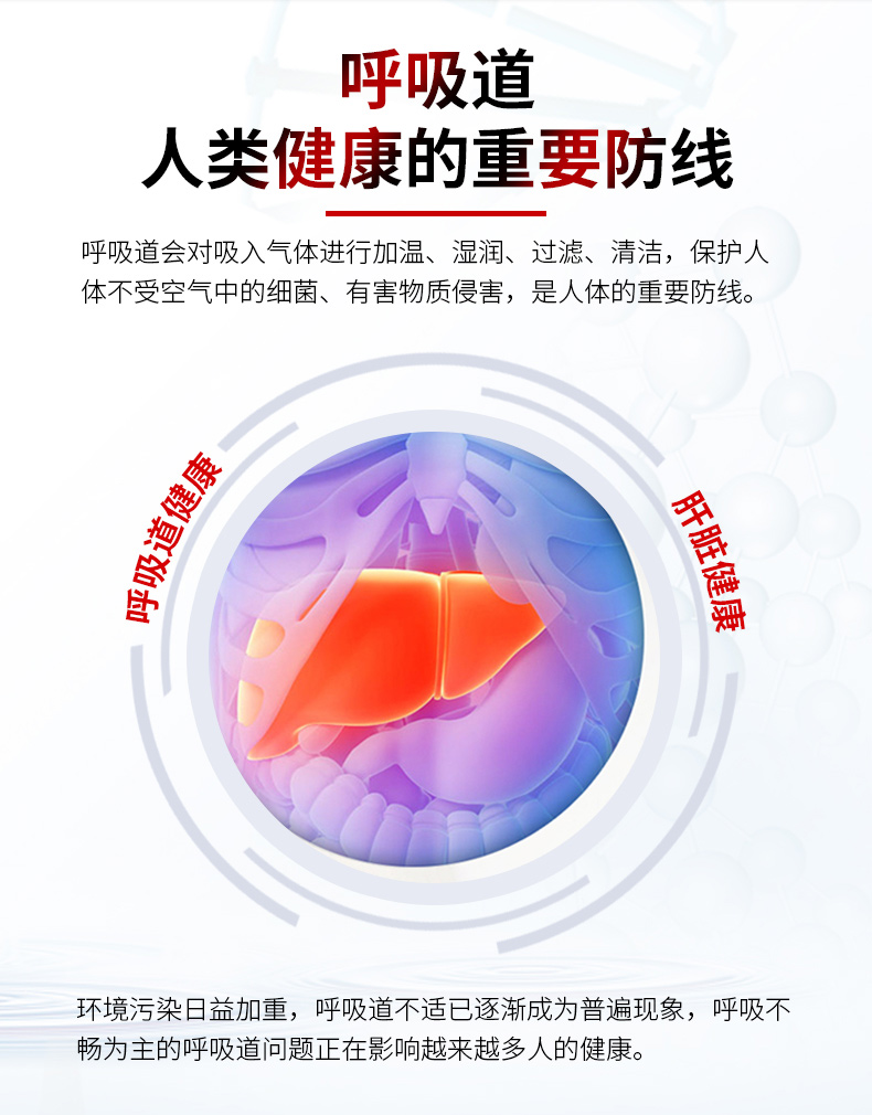 肺部护肺养肺保健品二氢槲皮素肺片 森棠海外其它植物提取物