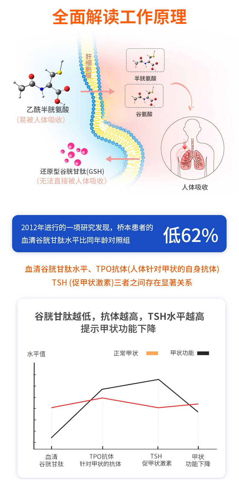 抽烟清肺肺部调理清道夫护肺片进口肺立清补肺养肺保健品动力胶囊-图3