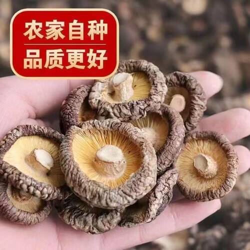 香菇干货500g肉厚无根干香菇新货蘑菇批发毛重非净重农家特产250g - 图2