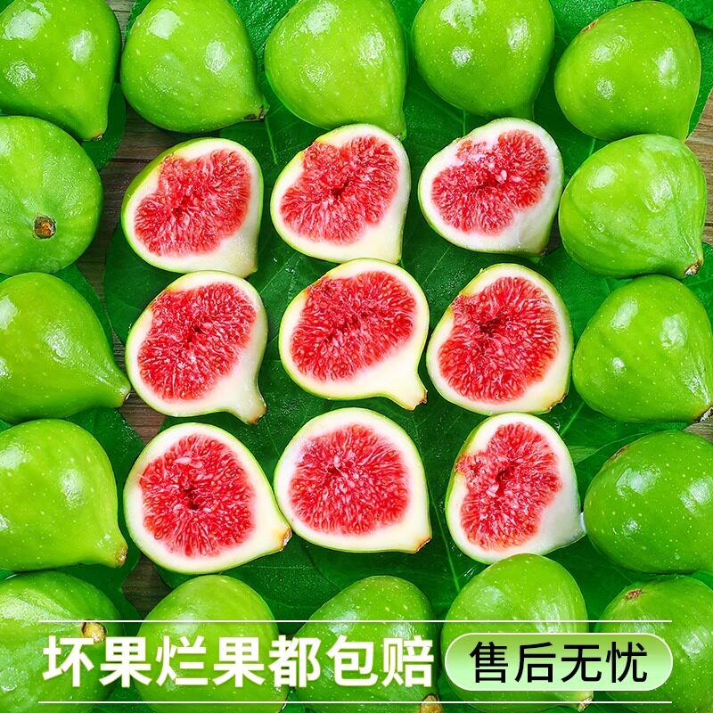 图 3