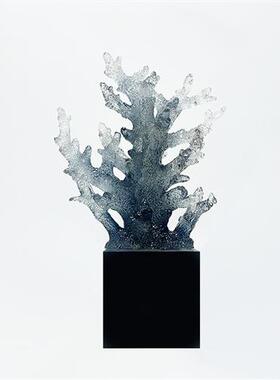 创意玄关电视柜珊瑚透明树脂摆件办公桌客厅家居软装工艺品雕塑