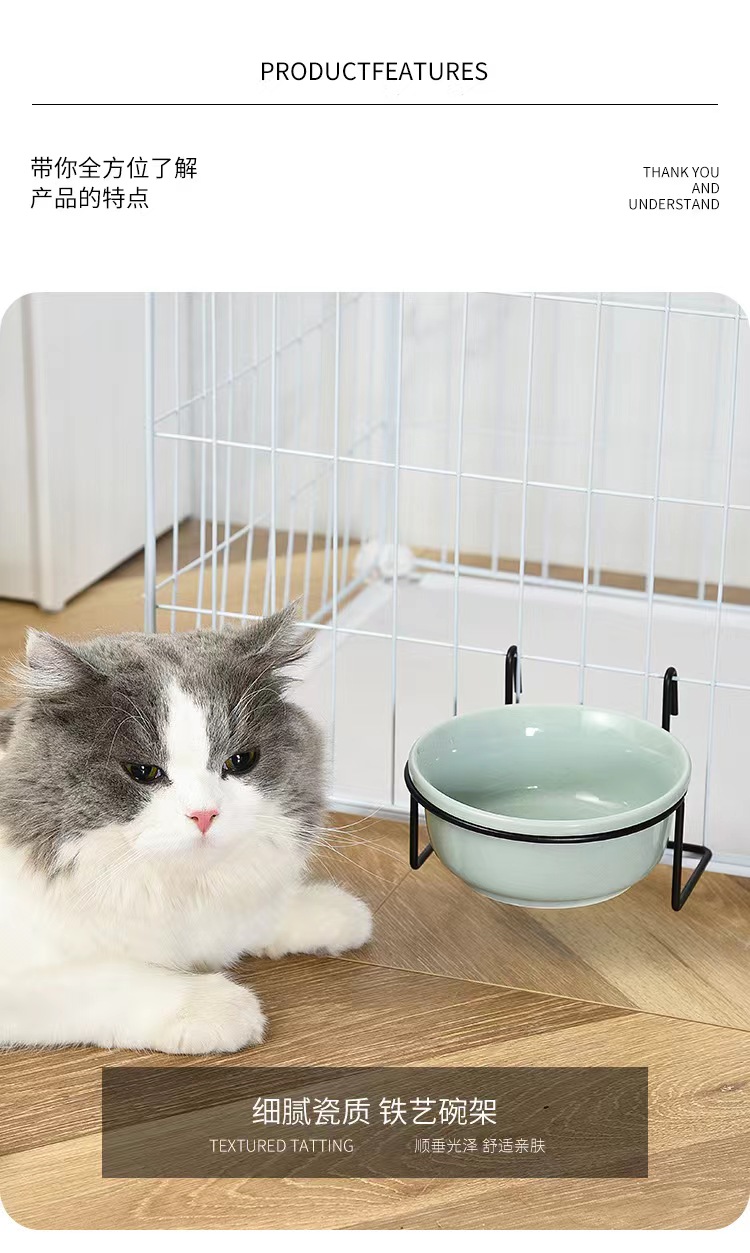 陶瓷碗碗猫用猫碗猫食盆狗盆狗碗猫咪水碗宠物碗斜口碗喝水喂食器 - 图0