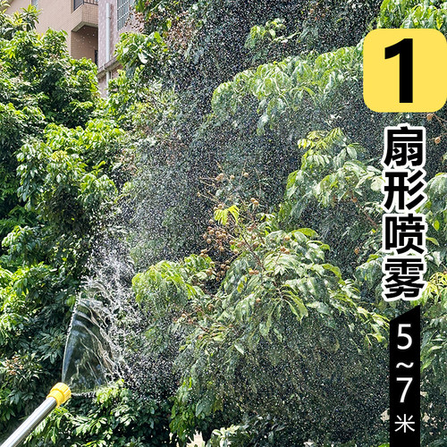 往复式喷雾器喷枪农用打药消毒园艺浇花不锈钢拉杆手动抽拉式水枪 - 图0