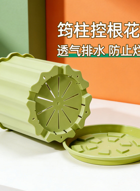 家用树脂带托盘一体盆栽种植盆加厚控根长寿花兰花蝴蝶兰专用套盆