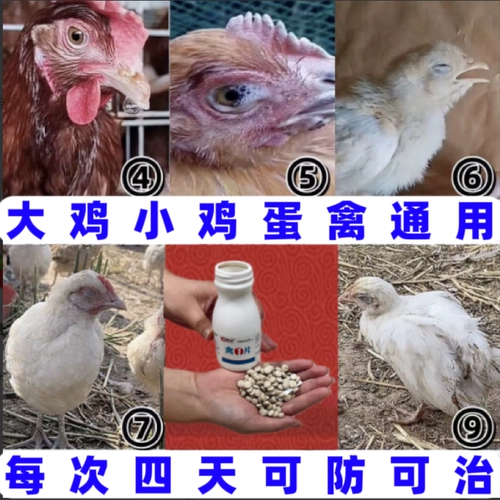 Извлечение различных китайских трав, таких как цыплята, утки, гуси, сложные ситуации, жимоточки, солодку и т. Д.