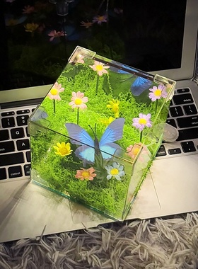 绿野仙踪礼盒室内小众送女生日礼物家居摆件小夜灯创意氛围装饰品