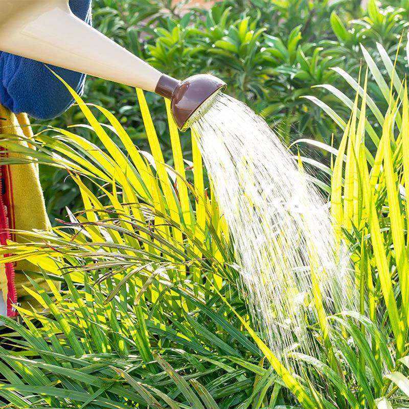 加厚洒水壶大浇花喷壶塑料浇水壶长嘴花洒壶园艺浇菜壶家用淋花壶,淘宝优惠券,粉丝福利购,淘宝优惠卷