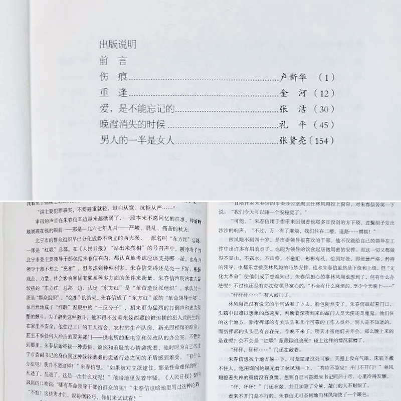 男人的一半是女人 20世纪中国文学争议作品书系9787539184876 二十一世纪 张贤亮等著 - 图1