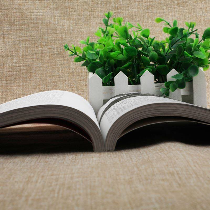 淞沪大会战 八一三影像全纪录中国抗日战争1937淞沪会战插图版 中国近现代历史政治军事中日大战八路军抗日英雄的故事史学研究书籍,淘宝优惠券,粉丝福利购,淘宝优惠卷