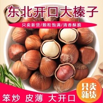 Northeast opening large hazelnut original taste roasting thin leather bagged 500 gr dried fruit nut pregnant with hazelnut wholesale