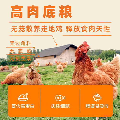 Instinct天然百利进口猫粮无谷冻干双拼生鲜鸡肉10磅/4.5kg成猫粮 - 图0