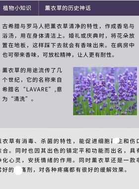 多特瑞薰衣草单方精油官网正品助眠修护美国香薰植物按摩面部淡细