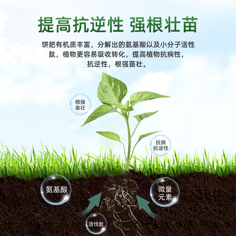 彩乐植菜籽饼肥发酵盆栽养花通用月季花卉腐熟有机肥家用肥料,淘宝优惠券,粉丝福利购,淘宝优惠卷