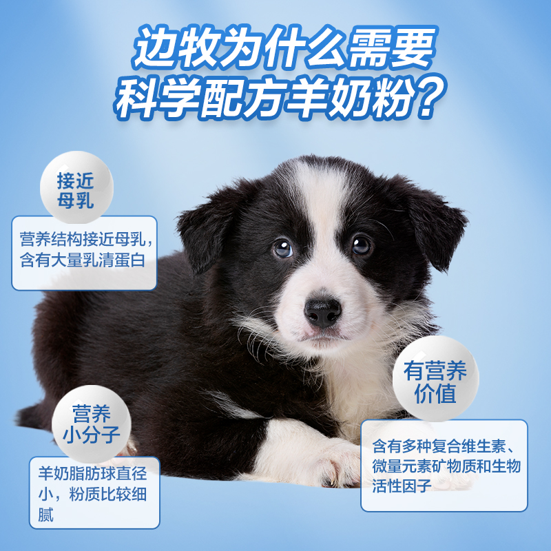 边牧幼犬专用羊奶粉0-12个月小奶狗狗牧羊大型犬含钙营养品补充剂 - 图1