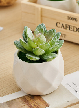 速发多假植物花仙人掌盆栽肉花桌植摆设办公室绿面小摆件