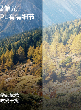 升级羚羊2.0运动墨镜高清偏光