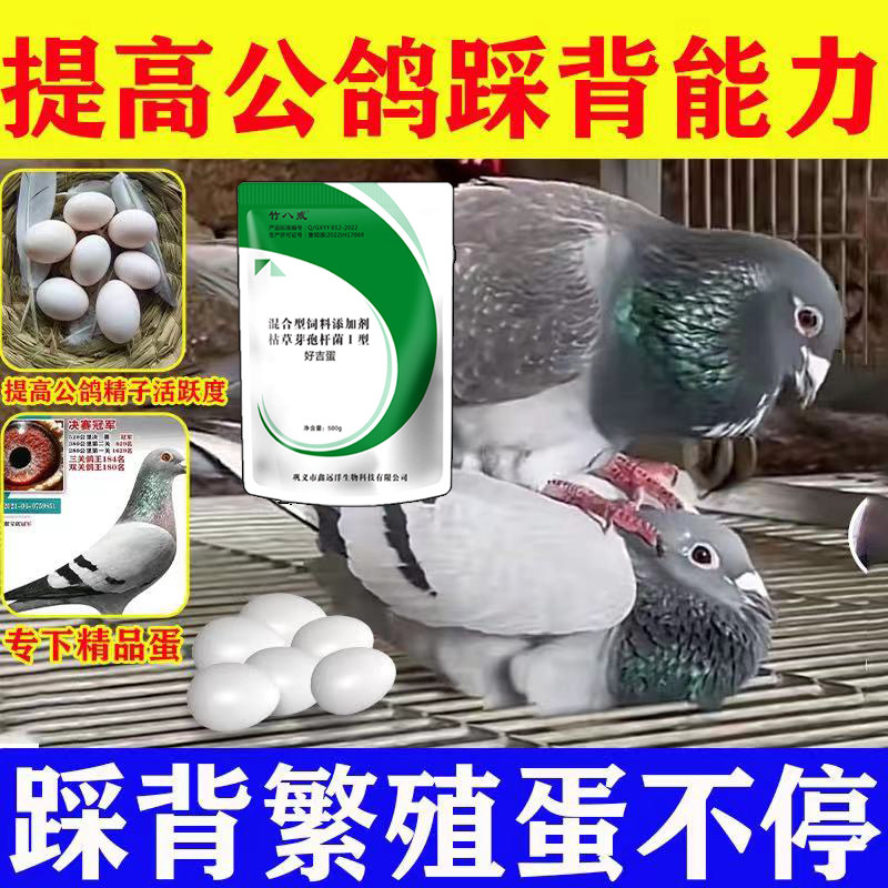 鸽子专用增蛋多多提高受精率鸽子不下蛋鸽子保健沙增蛋宝鸽子下蛋,淘宝优惠券,粉丝福利购,淘宝优惠卷