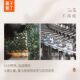 Ripe fruit, golden osmanthus, oolong, gardenia, jasmine, Longjing, 0 sugar, 0 calories, cherry blossom white tea, sugar-free tea drink 500ml