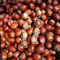 New stock fried cooked large hazelnut thin leather wild original taste nuts Northeastern terte hazelnut large grain pregnant women dried fruit snacks