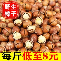 Iron Ridge wild hazelnut Northeast thin skin fried cooked new goods pregnant women nuts snacks special produce wholesale price 500g1000g