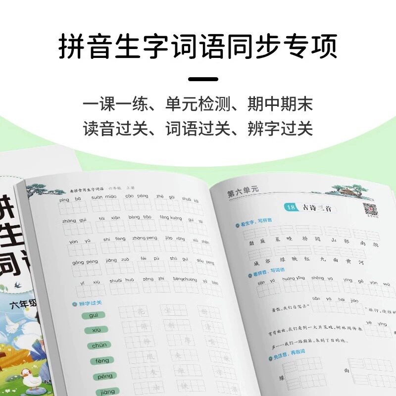 2025 看拼音写词语写生字词语练习二年级上册三年级上写汉字 四五六年级一年级语文字词专项训练积累与活页天天默写能手天天练