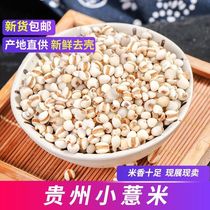 Zhengzong Guizhou small pearl barley rinjin red beans 250g500g Five grain cereals can be made as pearl barley red bean porridge can be made to cook soup
