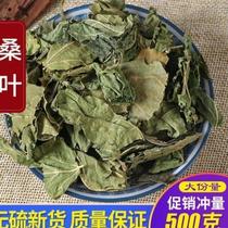 Chinese herbal medicine New cargo wild creamy mulberry leaf 500g grams of natural farmhouse selected winter mulberry leaf tea dry Chinese herbal medicine