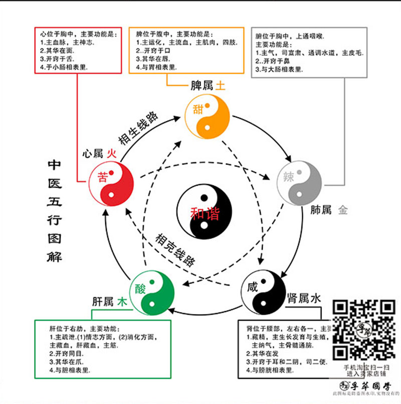 中医五行图解五行生克五脏六腑太极八卦周易经中医基础理论装饰画 - 图3