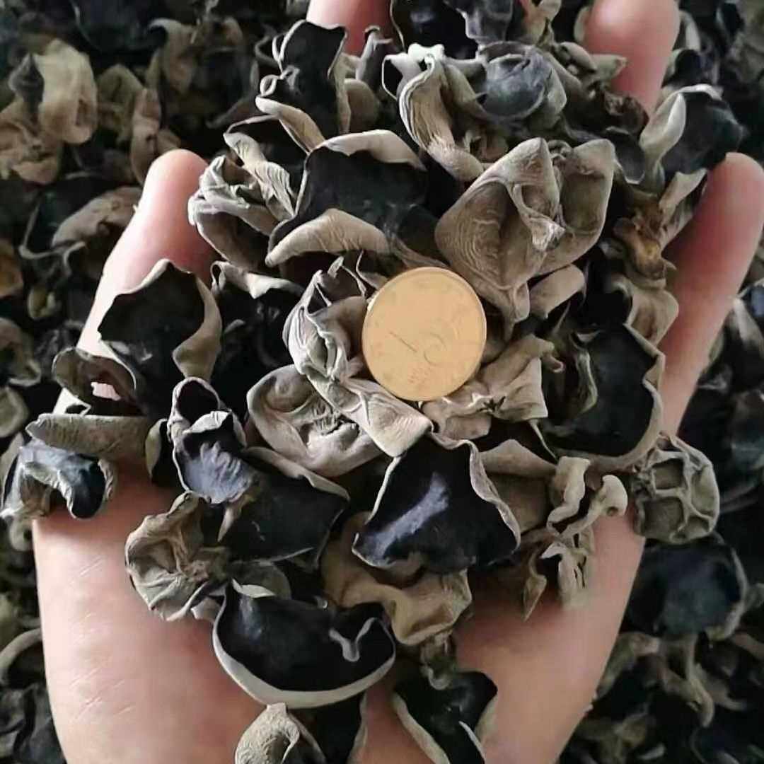  食锦丞黑木耳
