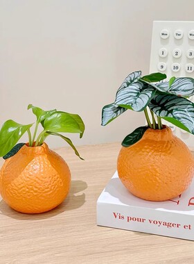 简约橘子小花瓶摆件客厅插花水培植物鲜花绿萝创意工艺品桌面装饰
