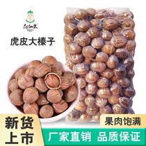New stock Large hazelnut Northeastern special production with shell tiger leather hazelnut cooked and fragrant original flavor opening thin leather bulk net heavy grain