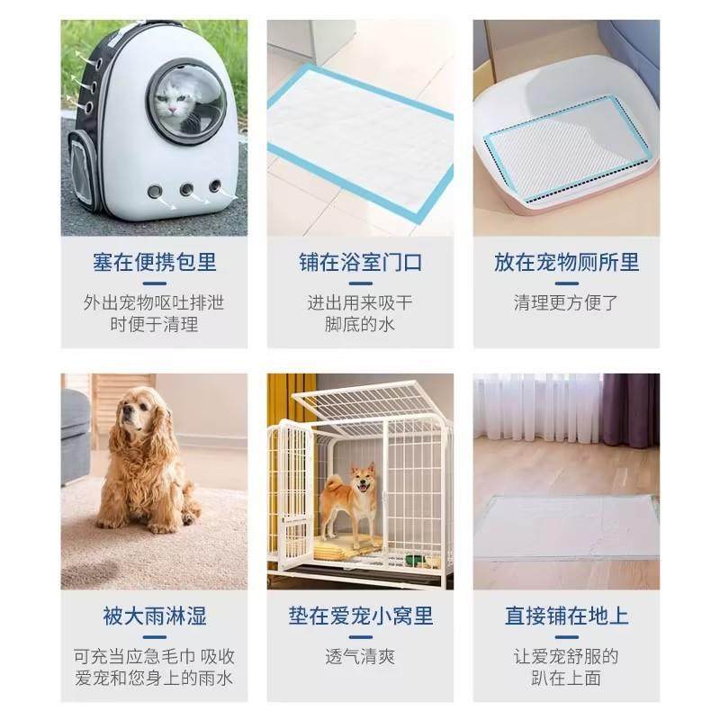 宠物尿垫40片狗狗训导尿片干爽吸水猫咪尿布犬猫通用宠物尿片,淘宝优惠券,粉丝福利购,淘宝优惠卷
