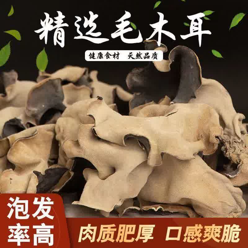 库拉肯黑木耳