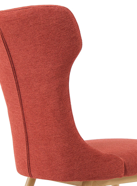 Modern Minimalist Nordic Dining Chair Adult Household Cloth