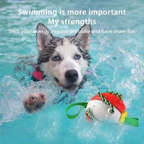 Outdoor Interactive Dog Toy Dog Soccer Ball Interactive Pet - 图1