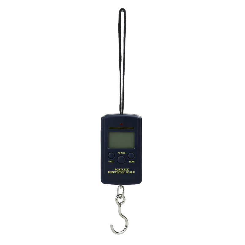 Mini Scale 40kgx10g Hanging Fishing Hook Scale the Balance L - 图0