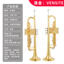 Fünster trumpet instrument downfall B-tone trionic trumpet beginnics playing a student cohort professional band