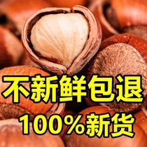 Northeast Large hazelnut fried with extra-large hazelnut original taste thin skin New stock wild opening large hazelnut nut dried fruit snacks