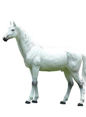 公园景观草坪装饰摆设户外园林雕塑仿真动物模型玻璃钢大白马摆件