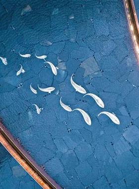 户外不锈钢镜面鱼群雕塑抽象镂空鱼立体庭院售楼部水池景观摆件品