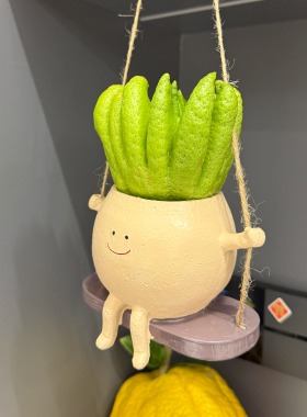 佛手柑托盘高颜值观赏花瓶