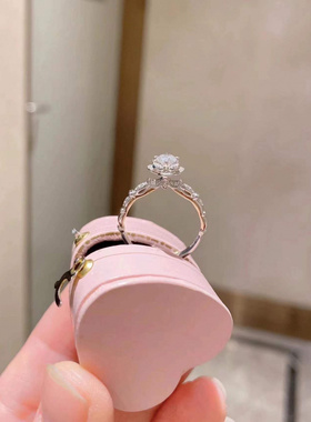 925镀银2024新款小众在逃公主城