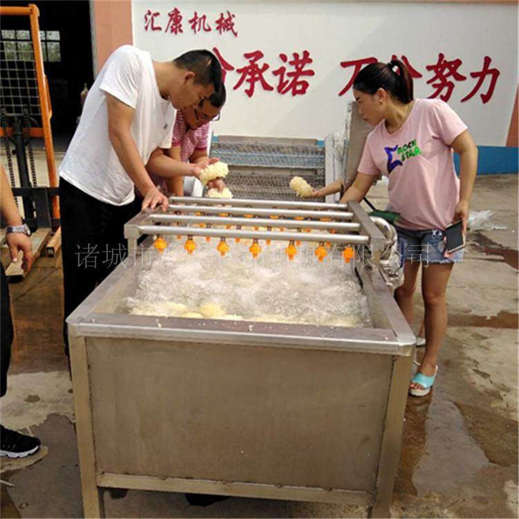 蔬菜浪喷淋气泡除机器 自动海产品翻清洗 机泥汇康GBS机械制造设,淘宝优惠券,粉丝福利购,淘宝优惠卷
